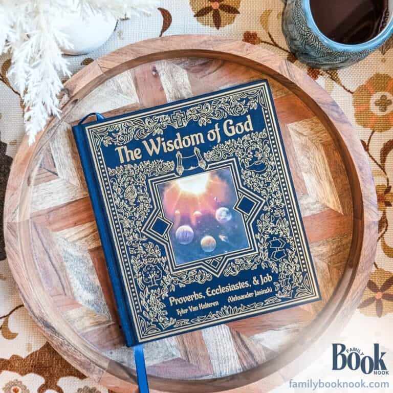 Photo of the cover of the book "The Wisdom of God"