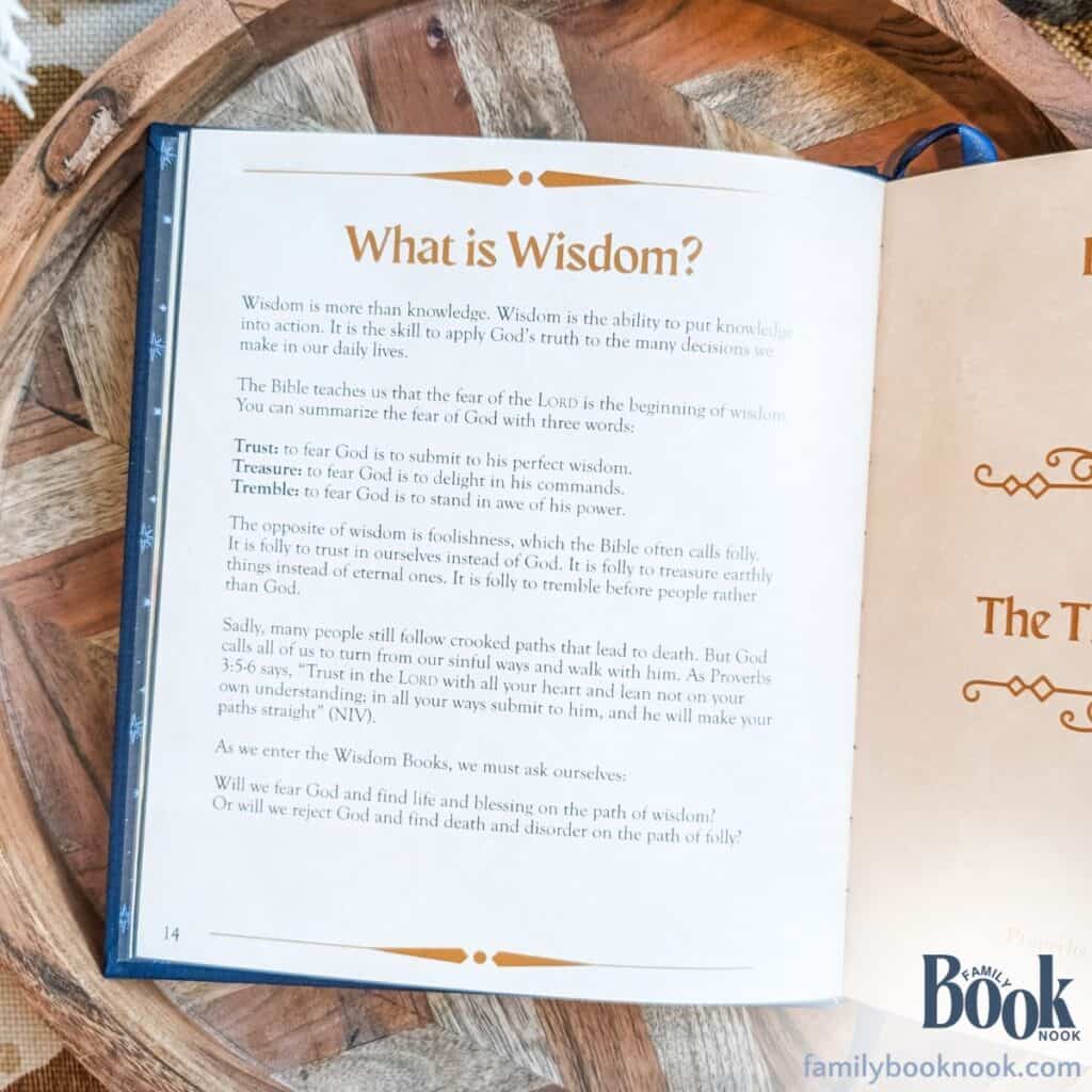 Sample summary page from "The Wisdom of God" Bible storybook