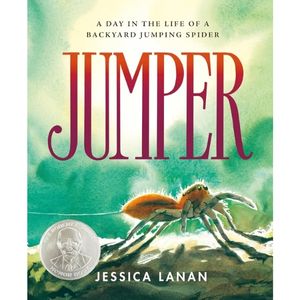 Jumper by Jessica Lanan